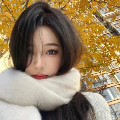 双面骗子虚假警察第一季